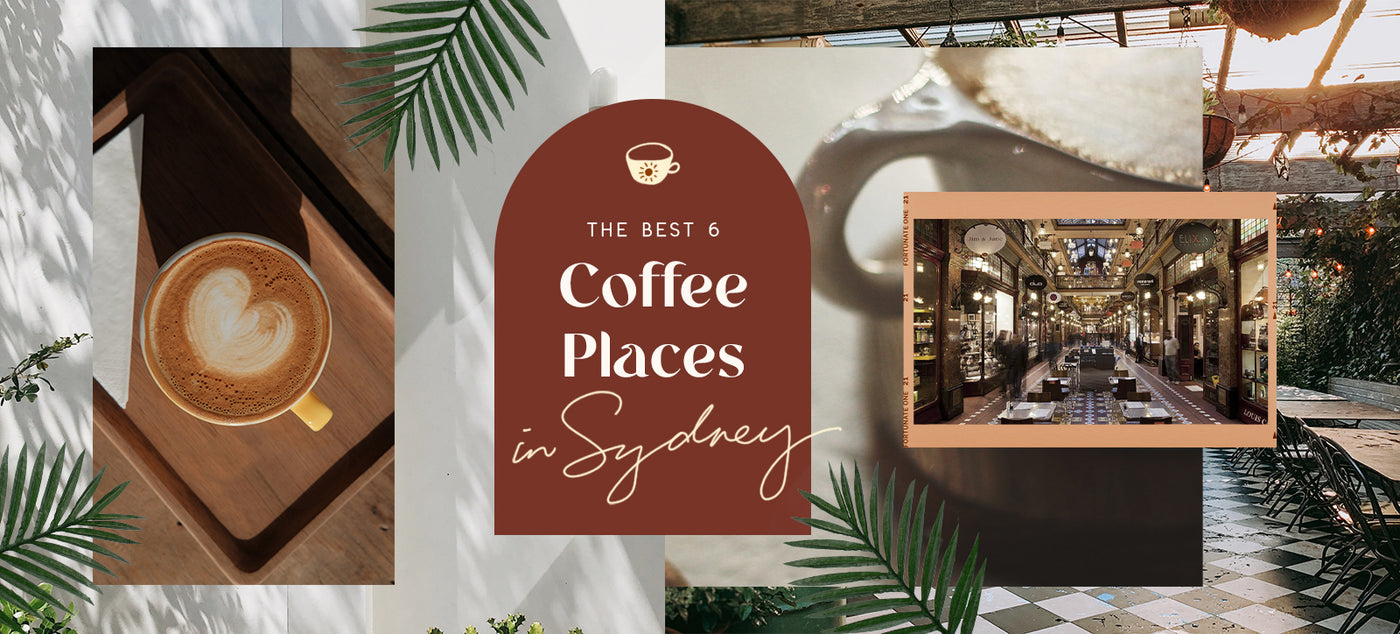 The Best 6 Coffee Places In Sydney