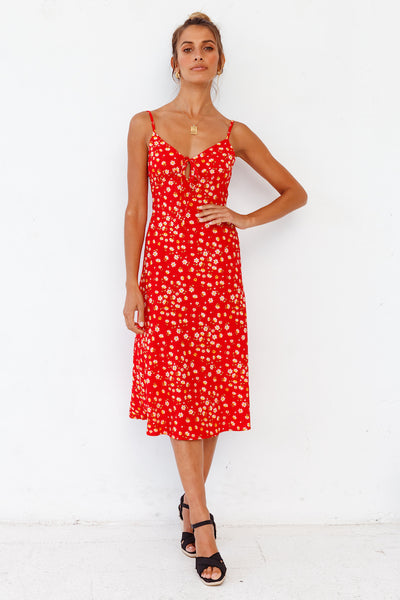 Apple Of My Eye Midi Dress